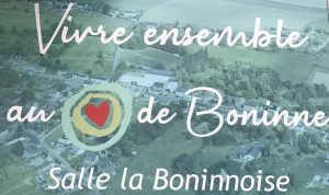 Boninnoise